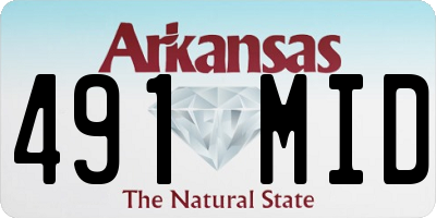 AR license plate 491MID