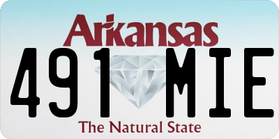 AR license plate 491MIE