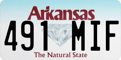 AR license plate 491MIF