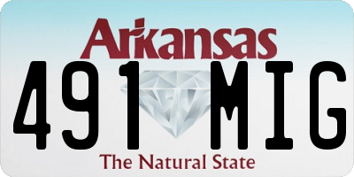 AR license plate 491MIG