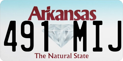 AR license plate 491MIJ