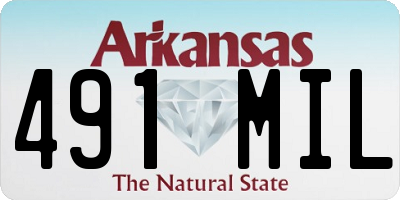 AR license plate 491MIL