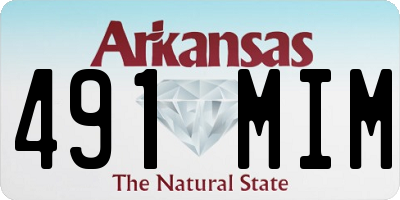 AR license plate 491MIM