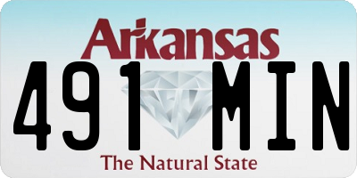 AR license plate 491MIN