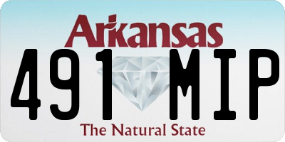 AR license plate 491MIP