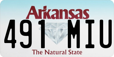 AR license plate 491MIU
