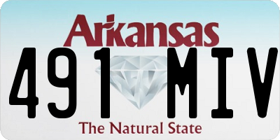 AR license plate 491MIV
