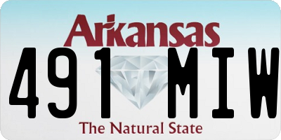 AR license plate 491MIW