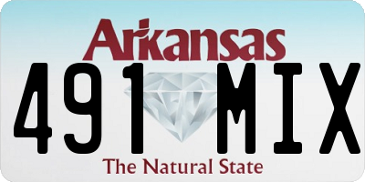 AR license plate 491MIX