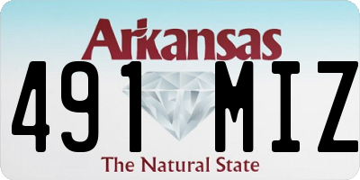 AR license plate 491MIZ