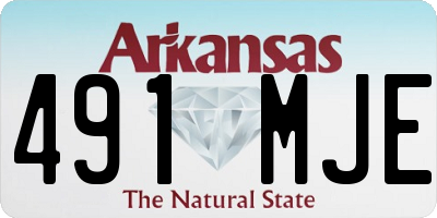 AR license plate 491MJE