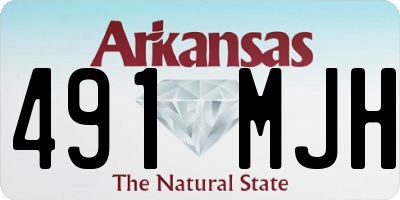 AR license plate 491MJH