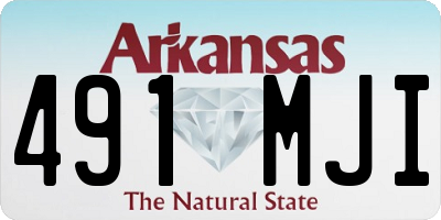 AR license plate 491MJI