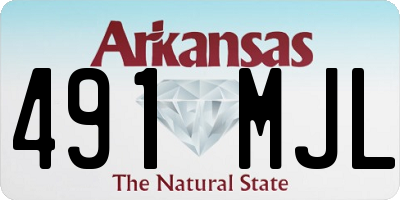 AR license plate 491MJL