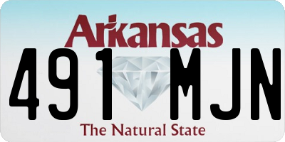 AR license plate 491MJN