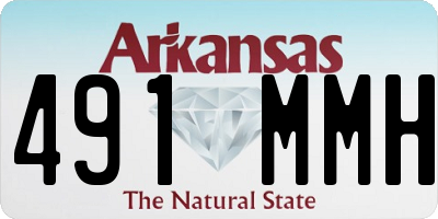 AR license plate 491MMH