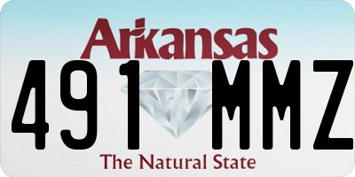 AR license plate 491MMZ