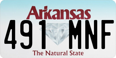 AR license plate 491MNF