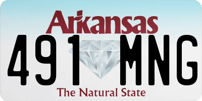 AR license plate 491MNG