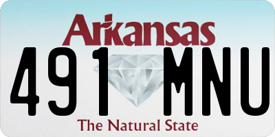 AR license plate 491MNU