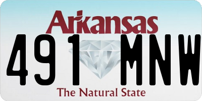 AR license plate 491MNW