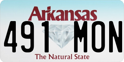 AR license plate 491MON