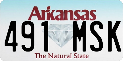 AR license plate 491MSK