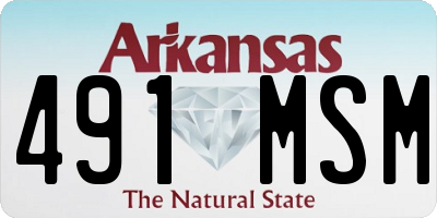 AR license plate 491MSM