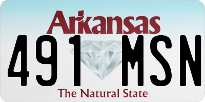 AR license plate 491MSN