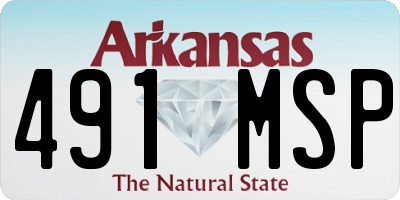 AR license plate 491MSP
