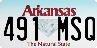 AR license plate 491MSQ