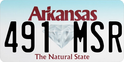 AR license plate 491MSR