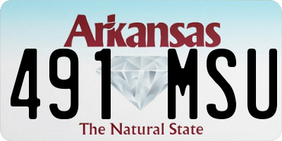 AR license plate 491MSU