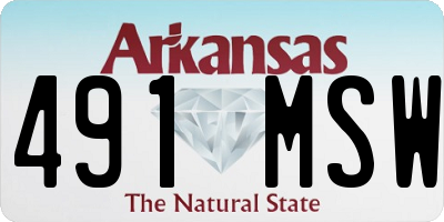 AR license plate 491MSW