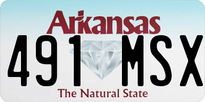 AR license plate 491MSX