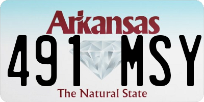 AR license plate 491MSY