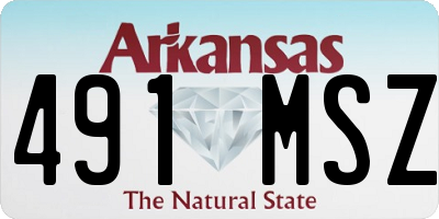 AR license plate 491MSZ