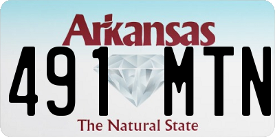 AR license plate 491MTN