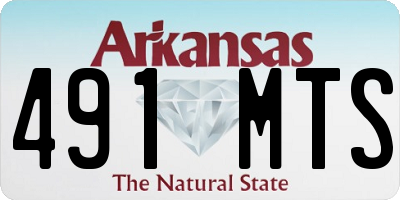 AR license plate 491MTS
