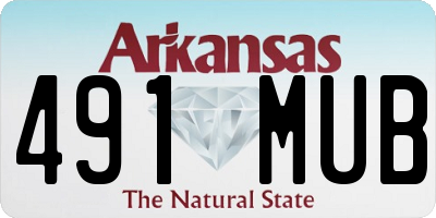 AR license plate 491MUB