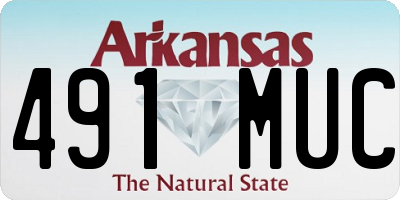 AR license plate 491MUC