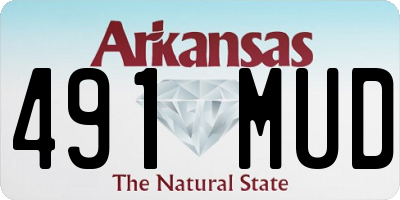 AR license plate 491MUD