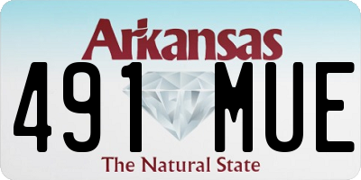AR license plate 491MUE