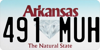 AR license plate 491MUH
