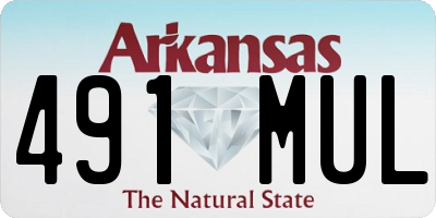 AR license plate 491MUL