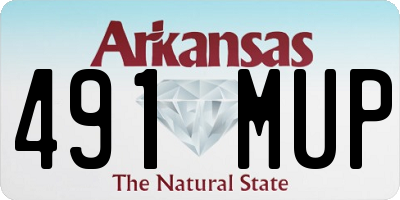 AR license plate 491MUP