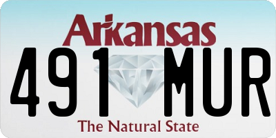 AR license plate 491MUR