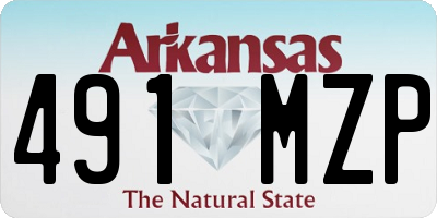 AR license plate 491MZP
