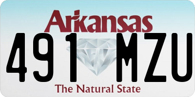 AR license plate 491MZU