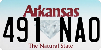 AR license plate 491NAO